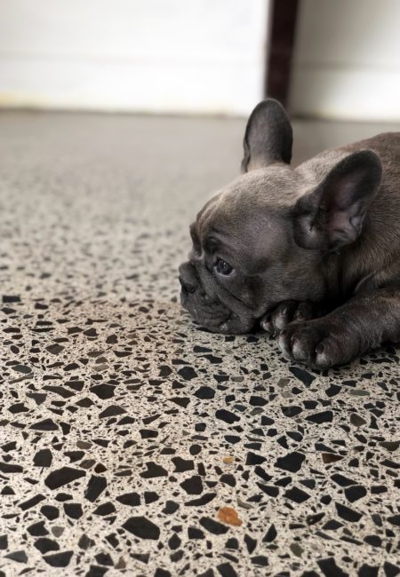 IMG_2612 (Copy) IMG_2612 (Copy)